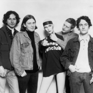 Teenage Fanclub