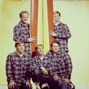 The Beach Boys
