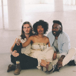 Growing Concerns // Poetry Collective