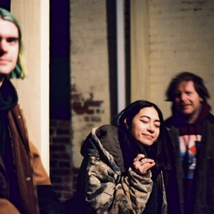 Spirit of the Beehive band