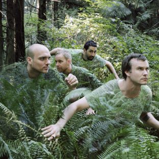 Sunny Day Real Estate