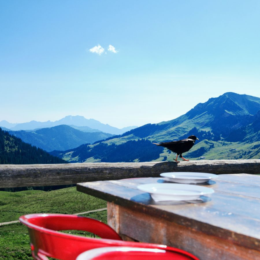 Arrêter le temps - Le Canal Auditif