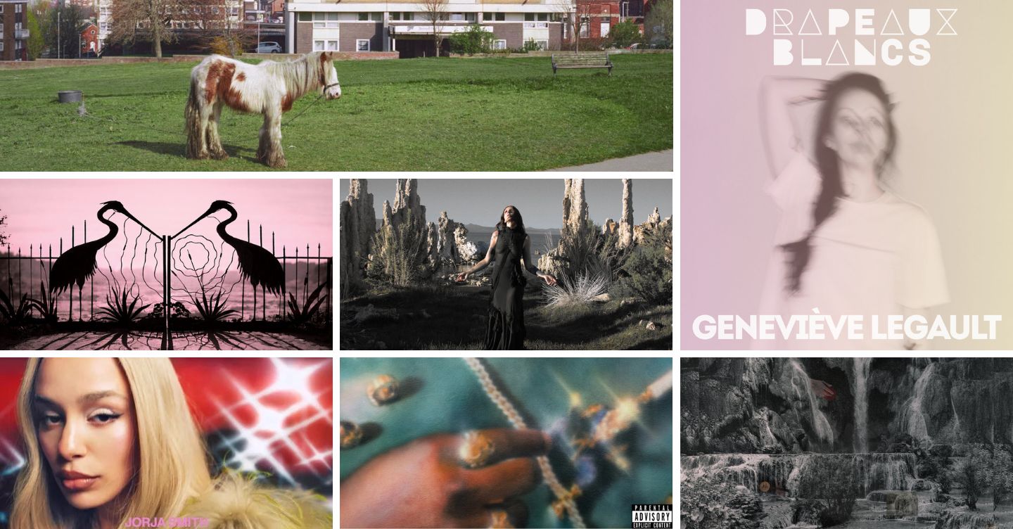 7 nouveaux albums à écouter — 21 août 2026
