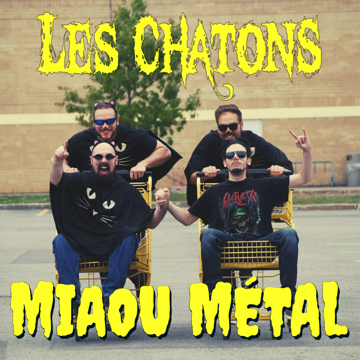 Miaou métal